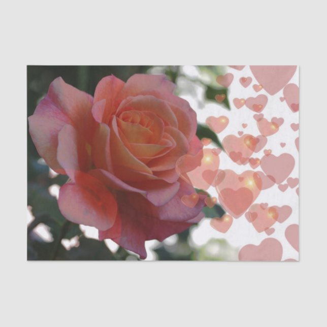 Seda Rosa com papel de tecido cardíaco (Frente )