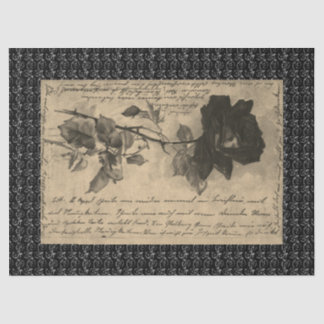 Seda ROSA PRETO DE Papel Tecido