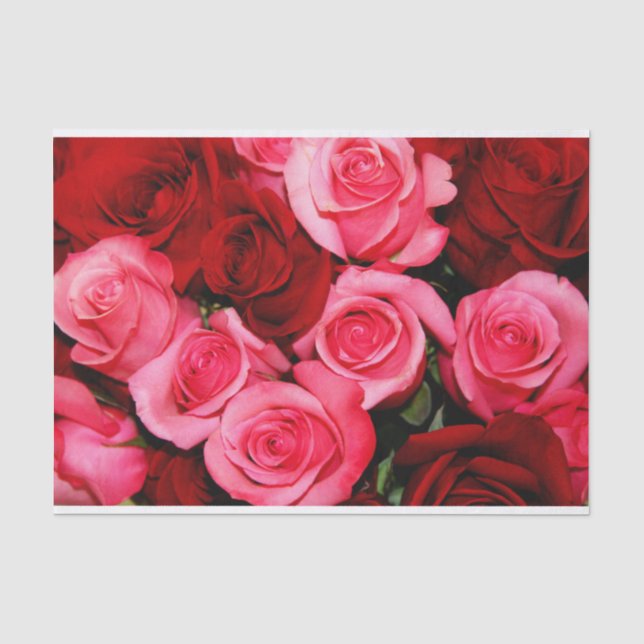 Seda Rosas, papel de enrolamento de tecidos rosa e verm (Frente )