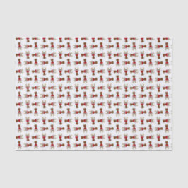 Seda Rudolph, lenço de papel