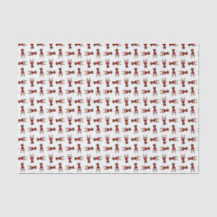 Seda Rudolph, lenço de papel