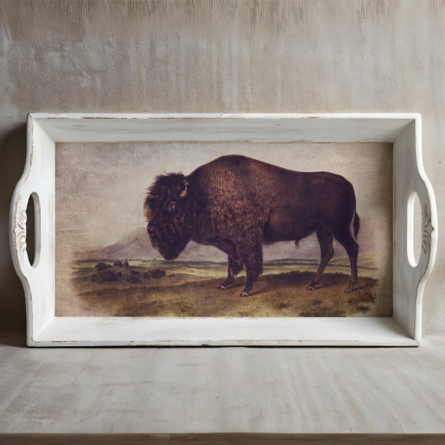 Seda Tecido de Buffalo Vintage ou Papel de Decoupage (This is a mockup, the design may appear larger/smaller on your decoupage piece.)