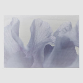 Seda Tecido. Papel (2) Conjunto  Pétalas de Íris Suaves