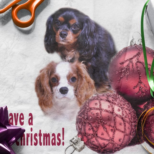Seda Tenha um Natal Cavalier! Lenços de Papel CKCS (Criador carregado)