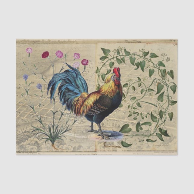 Seda Vintage Rooster Vine Map Papel de Tecido (Frente )