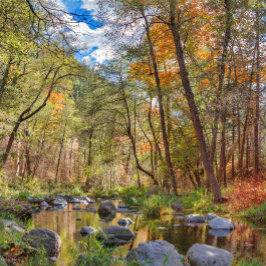 SEDONA ARIZONA STREAMING OUTRO DIA POSTER
