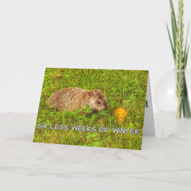 Seis semanas a menos de cartão de saudação de inve (Frente)