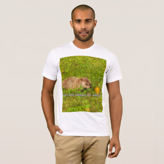 Seis semanas a menos de t-shirt de inverno