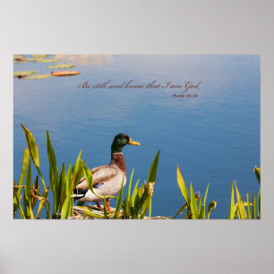 "Seja ainda e saiba que eu sou poster do deus"