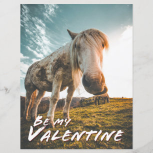 Seja meu namorado com o cavalo olhando