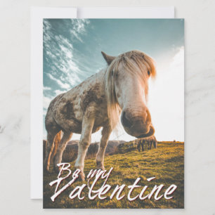 Seja meu Namorados de olhar o Cavalo V2.0