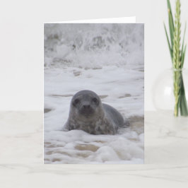 Selo - Cartão de Saudação do Impressão de Foto de