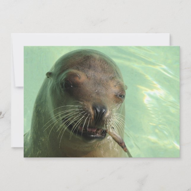 Selo com convite dos peixes (Frente)