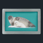 Selo de anéis<br><div class="desc">Uma mãe Ringed Seal e um filhote em um chão de gelo. Tal como acontece com os Ursos Polares que os presenciam, mamíferos marinhos como o Ringed Seal são ameaçados pelas alterações climáticas no conjunto de gelo do Árctico. Nomeado para as marcas em forma de anel em seus casacos, o...</div>