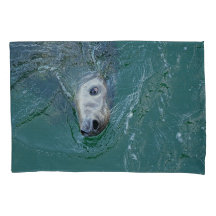 Selo de cinzas na Missão