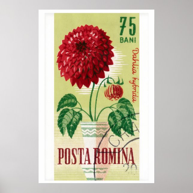Selo Postal Romeno Impressão Flor de Dália Vermelh (Frente)