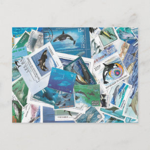 selos de golfinhos cartão postal