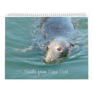 Selos do calendário de Cape Cod