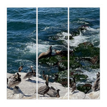 Selos e aves triptych