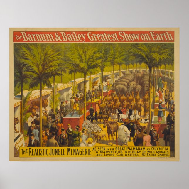 Selva Menagerie em Olympia Circus Poster (Frente)