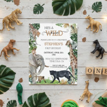 Selva Safari Selvagem Um Pantera Negra Aniversário