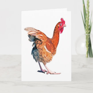 Sem cartão de aniversário de frango Primavera