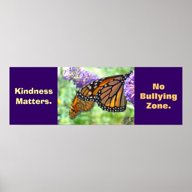 Sem posters de Zona de Bullying Escolas Bondade Cr (Frente)