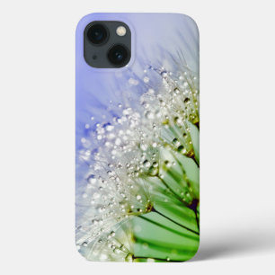Sementes de Dandelion com Gotas de Dew