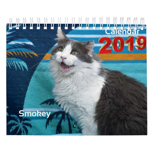 Sempre e para sempre calendário Collectible 2019 (Capa)