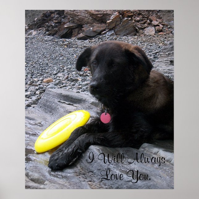 Sempre Te Amo Poster (Frente)