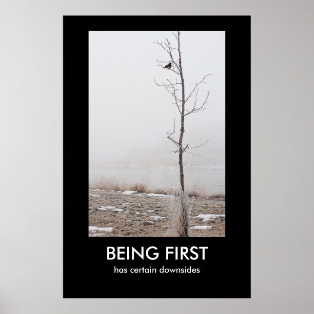 SENDO O PRIMEIRO Poster de Demotivação (Frente)