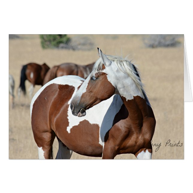 Senhora Braveheart Cartão (Frente Horizontal)