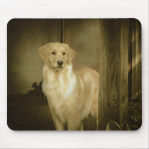 Senhora Waiting de Mousepad do golden retriever
