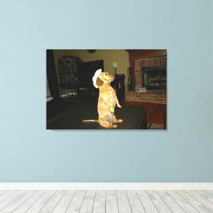 Sentado Bonito ou assistindo a Canvas do Dachshund