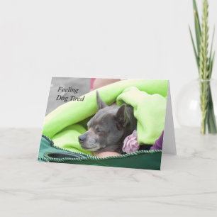 Sentir Cachorro Cansado (Chihuahua) - Cartão de Ar