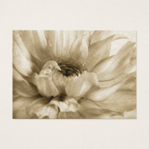 Sepia branco & fundo de creme da dália