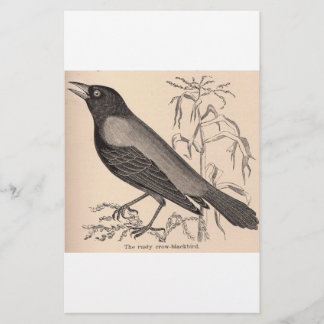 Sepia Crow