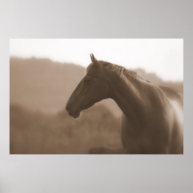 Sepia Silhouette Large Basic Poster (Frente)