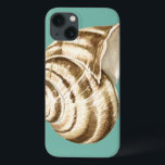 Sepia Striped Shell em Teal<br><div class="desc">Megan Meagher é conhecida por suas simples peças de arte. Esta é uma imagem excelente da arte decorativa capturando a vida marinha com uma casca de sepia de concha listrada. Obtenha este impressão de arte hoje em dia em cor real no seu produto Zazzle.</div>