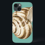 Sepia Striped Shell on Teal<br><div class="desc">Megan Meagher é conhecida por suas simples peças de arte. Esta é uma imagem excelente de arte decorativa capturando a vida marinha com uma casca de seia de concha listrada. Obtenha este impressão de arte hoje em dia em cor real no seu produto Zazzle.</div>