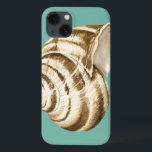 Sepia Striped Shell on Teal<br><div class="desc">Megan Meagher é conhecida por suas simples peças de arte. Esta é uma imagem excelente de arte decorativa capturando a vida marinha com uma casca de seia de concha listrada. Obtenha este impressão de arte hoje em dia em cor real no seu produto Zazzle.</div>
