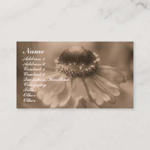 Sepia Zinnia Flower Fotografia Cartão de visita