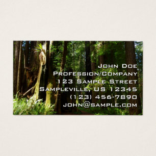 Sequoias e Fernos no Parque Nacional de Redwood