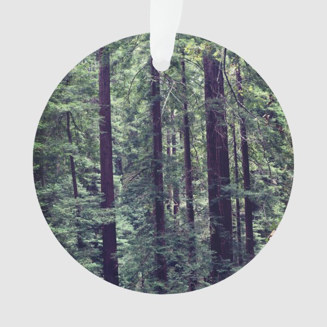 Sequoias Sequoias #2 Ornamento (Frente)