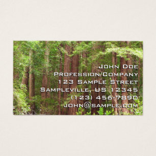 Sequoias Vermelhas no Monumento Nacional de Muir W