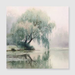 Serena Árvore Salgueiro Reflexo Arte da Natureza (