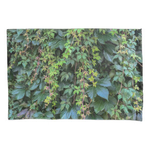 Serene Green Ivy Wall Prendendo Folhas de Plantas