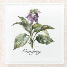 Serene Watercolor Comfrey, personalizada