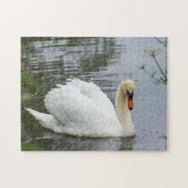 Serene White Swan Quebra-cabeça