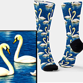 Serene White Swans Nadando em Lago Azul